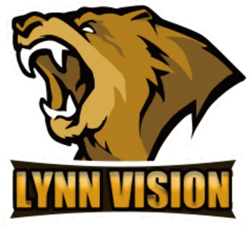 Lynn Vision